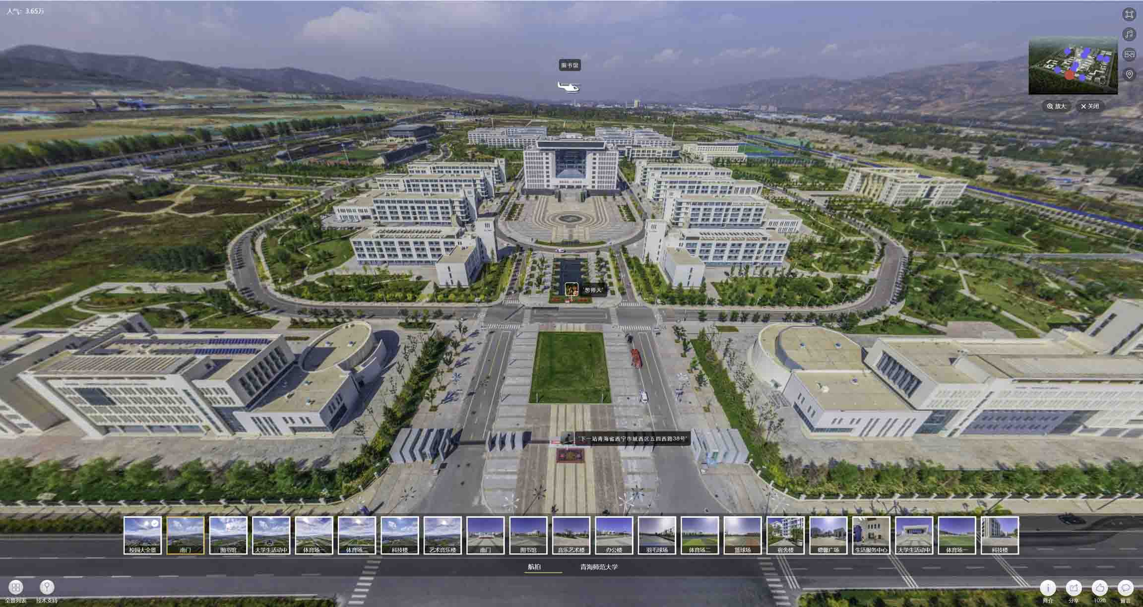 普兰店油菜花-惊艳半生的花海仙境